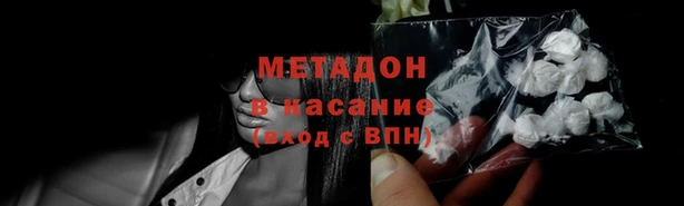 стаф Алзамай