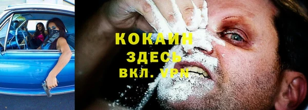 стаф Алзамай