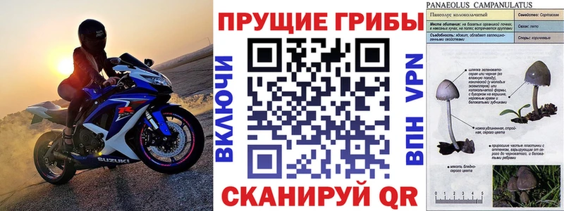 сайты даркнета формула  Покров  Псилоцибиновые грибы MAGIC MUSHROOMS 